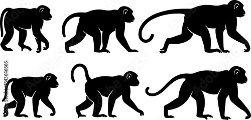 Monkey Silhouette Collection – Primate Poses Black Vector Set