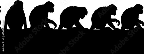 Monkey Silhouette Collection – Primate Poses Black Vector Set