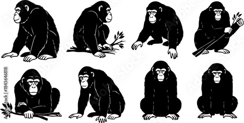 Monkey Silhouette Collection – Primate Poses Black Vector Set