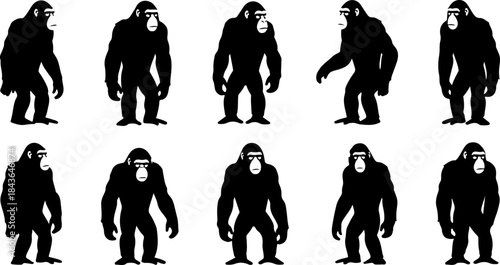 Monkey Silhouette Collection – Primate Poses Black Vector Set