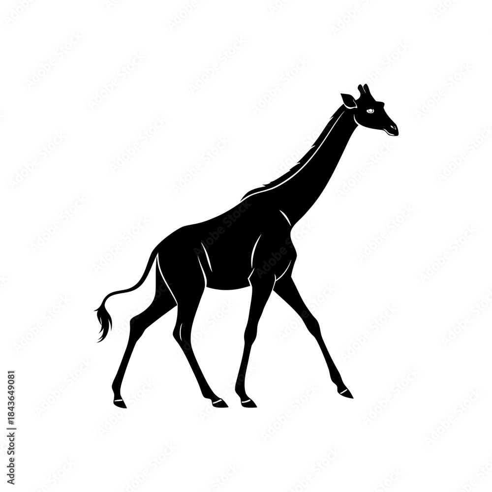 Obraz premium Giraffe Silhouette Vector Illustration