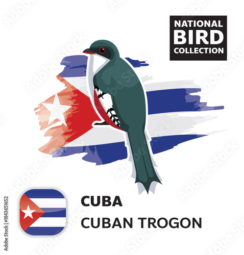 National Bird Set Cuba Trogon Vector Character