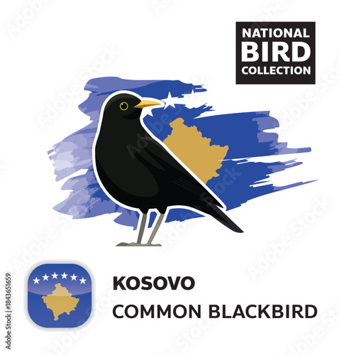 National Bird Set Kosovo Blackbird Vector Character
