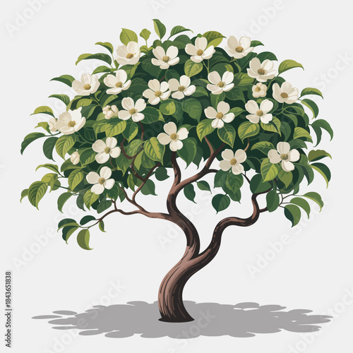A stunning flowering tree adorned with white blossoms stands out beautifully against a light background, symbolizing nature's beauty and the renewal that spring brings to life.