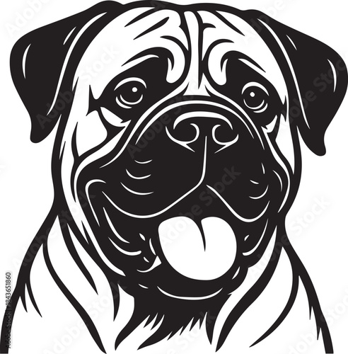 funny bullmastiff dog portrait