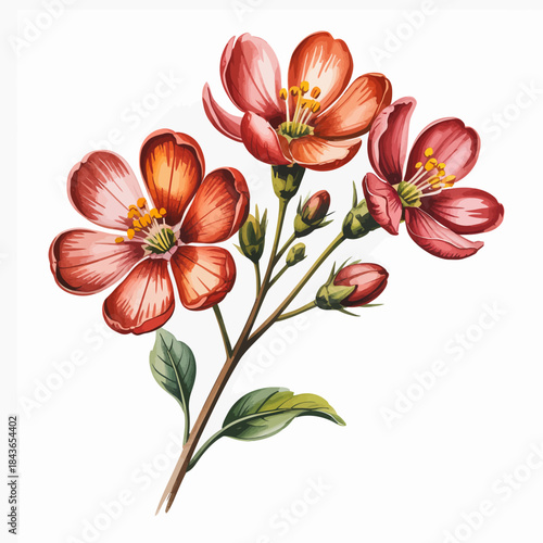 A stunning illustration of vibrant red flowers, showcasing their intricate petals and natural beauty, symbolizing growth, beauty, and the ephemeral nature of life.