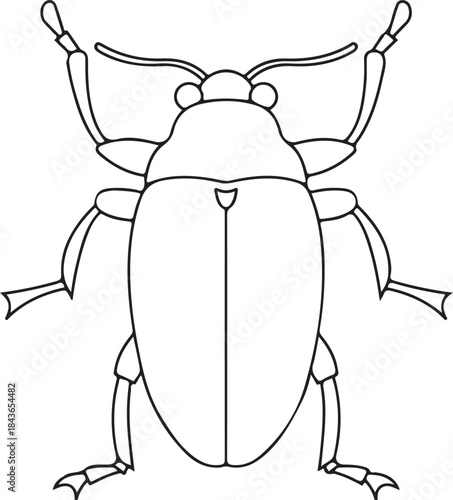 Stag beetle vector illustration isolated on white background with close-up macro view of the insect's black antenna and brown carapace