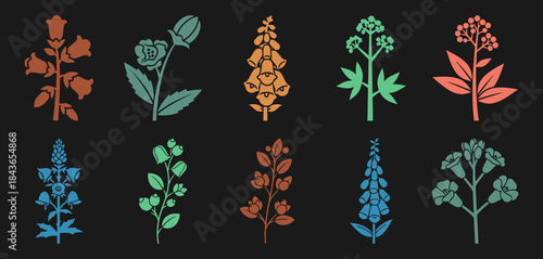 Toxic Garden Plants Wolfsbane Belladonna Foxglove Hemlock Oleander Castor Bean Black Background