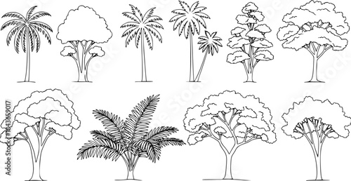 Tree top view outline collection, diverse foliage patterns, ideal for architectural plans, landscape designs, urban planning botanical illustrations, and garden