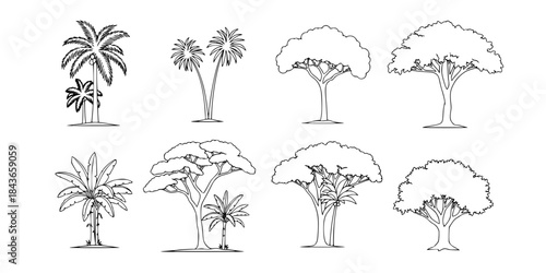 silhouette tree line drawing set, Side view, set of graphics trees elements outline symbol for architecture and landscape design drawing. Vector illustration in stroke fill in white. Tropical