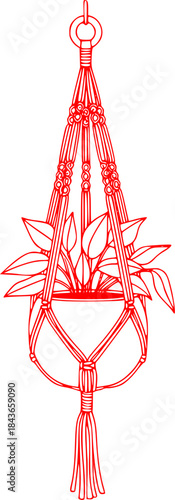 Hand-drawn macrame plant hanger illustration, minimalist style
