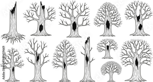 vector set of Isolated Concept Of Dead Trees Set

