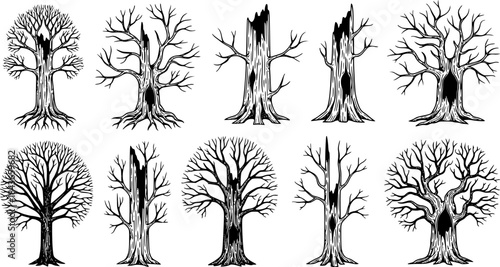vector set of Isolated Concept Of Dead Trees Set
