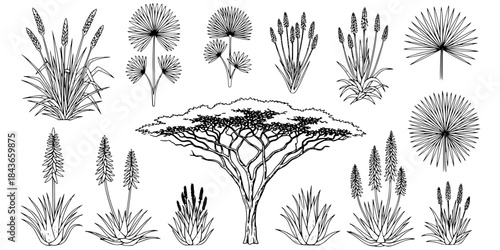 Tree top view outline collection, diverse foliage patterns, ideal for architectural plans, landscape designs, urban planning botanical illustrations, and garden