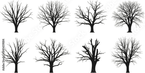 vector set of Isolated Concept Of Dead Trees Set
