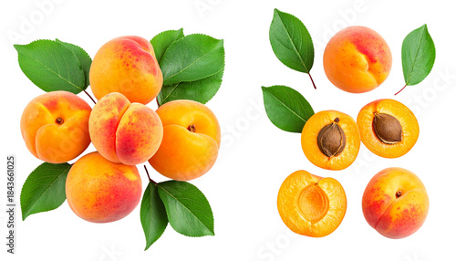  Ripe Apricots and Peaches with Fresh Leaves isolated on transparent background