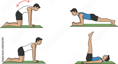 Collection of illustrated foundational bodyweight exercises for core strength and flexibility, featuring the Cat-Cow spine sequence