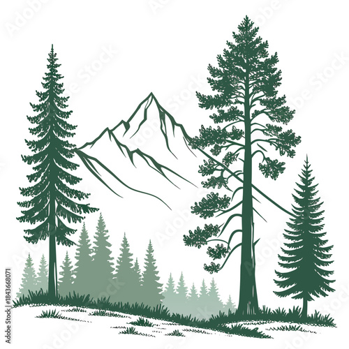 Stylized graphic illustration of a majestic mountain range behind a dense forest of pine trees and evergreen conifers with grassy foreground detail