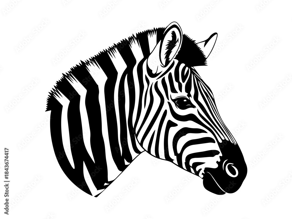 Obraz premium A striking black and white illustration of a zebra's head, showcasing its distinctive striped pattern.