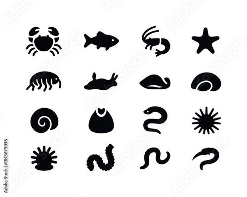 Coastal Creatures Icons. Small coastal creatures. Solid icon set