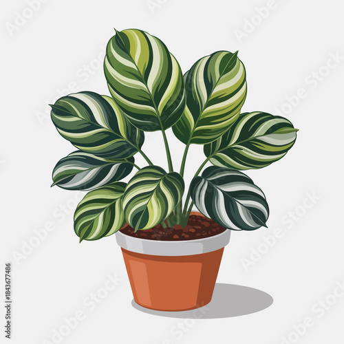 This alluring illustration features a striped houseplant in a chic white pot, bringing a sense of style and nature’s beauty into your indoor decor.