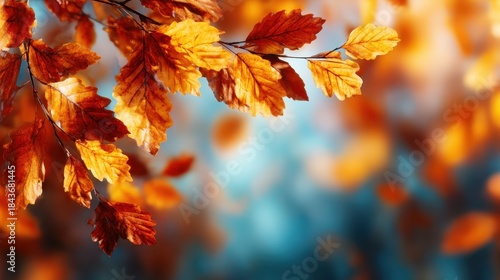 An expansive view of beautifully colored autumn leaves captured against a soft, blurred backdrop that embodies the essence of the fall season and nature's splendor.