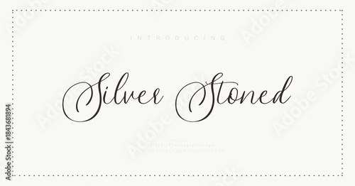 Elegant alphabet letters font and number. Classic Lettering Minimal Fashion Designs. Typography modern serif fonts regular decorative vintage concept. vector illustration