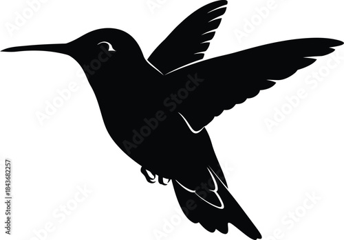 Black silhouette of a hummingbird in flight isolated on white background
