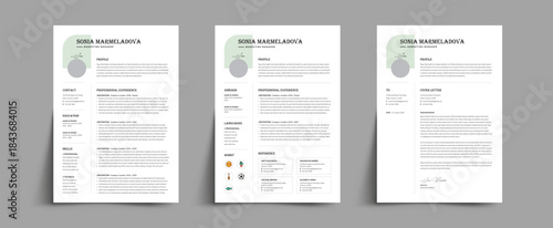 3 Page Resume Template  CV Template