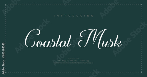 Elegant luxury alphabet font logo. Typography modern classic lettering serif italic fonts decorative wedding vintage retro logos. vector illustration
