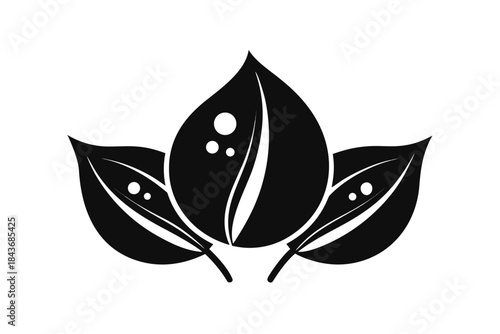 leaf pair with water droplet icon