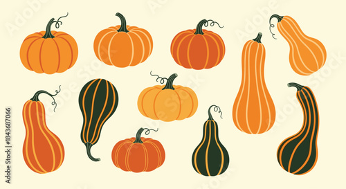 Colorful pumpkins and gourds arranged in a decorative pattern on a light background showcasing autumn harvest shapes and textures.