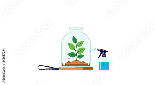 Botany experiment with a small green plant growing in soil under a glass dome, with a spray bottle and tweezers nearby.
