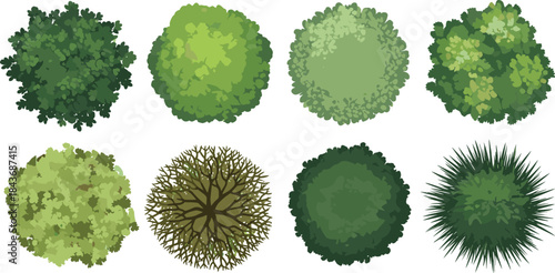 Top view trees, foliage, landscape design, garden plan, aerial vegetation, plant icons, greenery, flat vector illustration, stylized shrubs