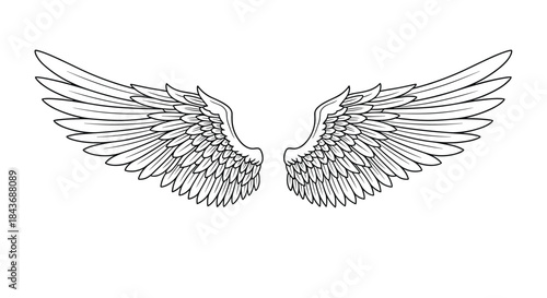 Intricate feathered wings spread symmetrically in a graceful arc perfect for fantasy art motifs symbolic insignia and decorative design.