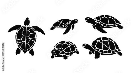 Assortment of black silhouettes of sea turtles and tortoises in various poses, including swimming and viewed from above on white.