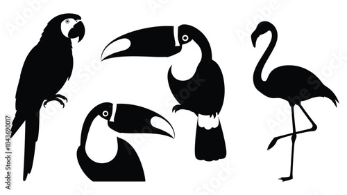 Simple black silhouettes of exotic tropical birds, including a macaw parrot, a toucan, and a flamingo standing on one leg.