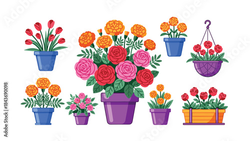 Beautiful collection of various blooming flowers in colorful pots, hanging baskets, and planters, perfect for garden-themed decorations.