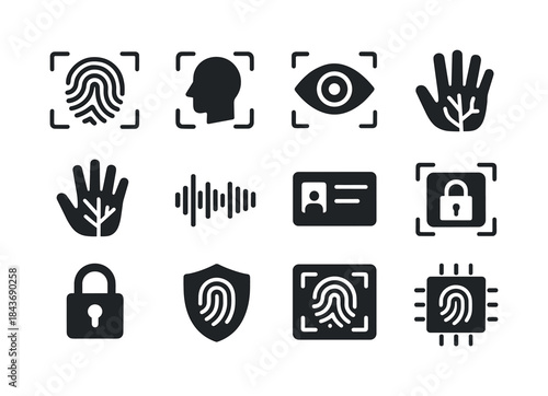 Biometric Security Icons. Biometric Identification. Solid icon s