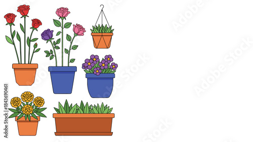 Simple outline illustrations of various flowers and plants in terracotta and blue pots, with plenty of copy space on the right.
