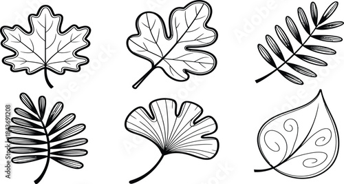 Hand-Drawn Black and White Botanical Leaf Illustrations 2x3 Grid