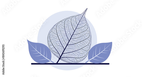 Delicate and intricate skeleton leaf illustration in a monochrome blue palette, showcasing the beautiful and detailed vein structure of nature.