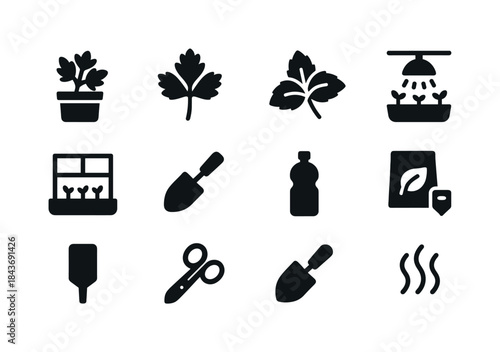 Indoor Herb Icons. Indoor herb garden. Solid icon set of Indoor