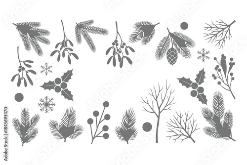 A collection of various botanical illustrations of leaves and plants in grayscale