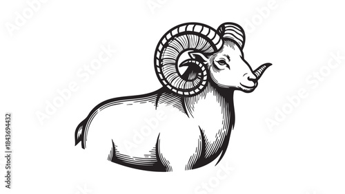 A powerful ram with impressive curled horns, depicted in a classic black and white engraving style on a pristine white background — stock vector.
