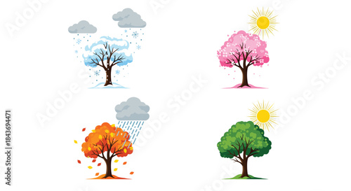Set of four vector illustrations showing a single tree during the different seasons winter spring summer and autumn weather changes.