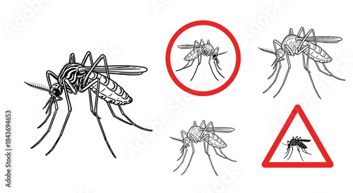 Set of black and white mosquito illustrations including warning signs for pest control and health awareness campaigns.
