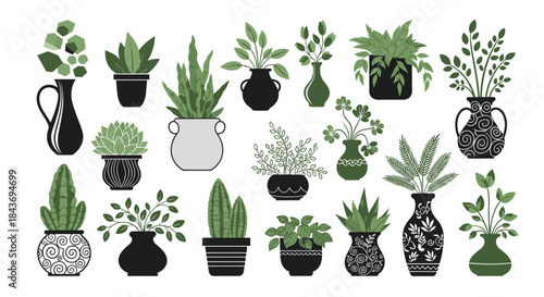Collection of stylish green houseplants in various decorative pots and vases in a simple modern black and white art style.