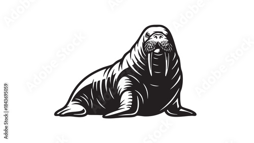 Monochrome vector depiction of a majestic walrus with prominent tusks and whiskers, isolated on a white background — stock vector.