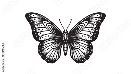 A beautifully detailed black and white butterfly illustration featuring intricate wing patterns, perfect for decorative designs or tattoos — stock vector.